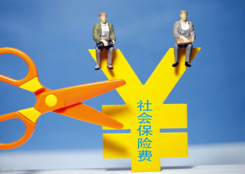 車輛保險(xiǎn)費(fèi)與勞務(wù)服務(wù)的進(jìn)項(xiàng)稅額扣除問(wèn)題解析